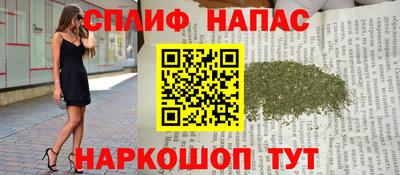 a pvp Гусев