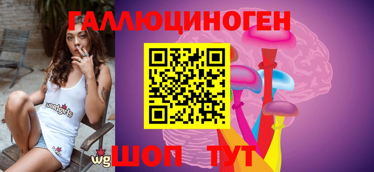Псилоцибиновые грибы GOLDEN TEACHER Знаменск